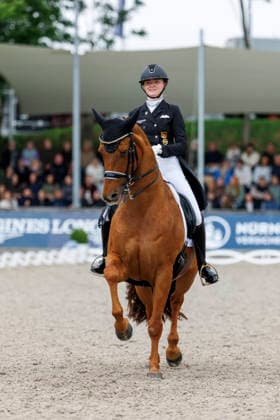 * Balve, Reitanlage Schloss Wocklum 07. June 2026 -