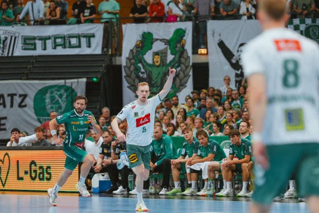 Handball, HBL, SC DHfK Leipzig - TSV GWD Minden