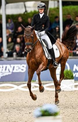 Balve Optimum on Sunday June 7 FOR EDITORIAL PURPOSES ONLY EDITORIAL USE ONLY p Fabienne Müller Lütkemeier on Valencia at the German Dressage Grand Prix Freestyle Championships 2026 on Sunday, June 7, 2026 in Balve Optimum in Balve Valencia Copyright SvenjaxHanusch Copyright: SvenjaxHanusch doc866p51peque16c2fae54 ,EDITORIAL USE ONLY