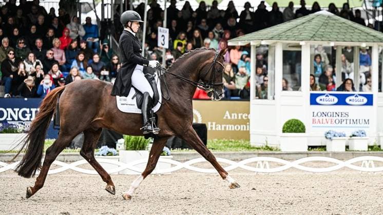Balve Optimum on Sunday June 7 FOR EDITORIAL PURPOSES ONLY EDITORIAL USE ONLY p Isabell Werth on Viva Gold at the German Dressage Grand Prix Freestyle Championships 2026 on Sunday, June 7, 2026 in Balve Optimum in Balve Copyright SvenjaxHanusch Copyright: SvenjaxHanusch doc866p57t4tp1en09de6p ,EDITORIAL USE ONLY
