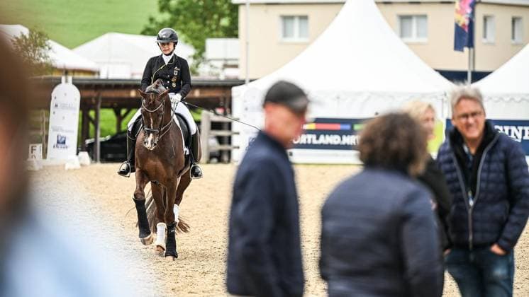 Balve Optimum on Sunday June 7 FOR EDITORIAL PURPOSES ONLY EDITORIAL USE ONLY p Riding arena at the German Dressage Grand Prix Freestyle Championships 2026 on Sunday, June 7, 2026 in Balve Optimum in Balve Copyright SvenjaxHanusch Copyright: SvenjaxHanusch doc866p4wretv61b48b99li ,EDITORIAL USE ONLY