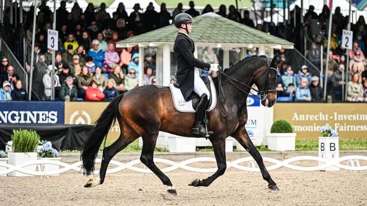 Balve Optimum on Sunday June 7 FOR EDITORIAL PURPOSES ONLY EDITORIAL USE ONLY p Raphael Netz on Great Escape Camelot at the German Dressage Grand Prix Freestyle Championships 2026 on Sunday, June 7, 2026 in Balve Optimum in Balve Copyright SvenjaxHanusch Copyright: SvenjaxHanusch doc866p4zg7yzr180gcze6p ,EDITORIAL USE ONLY