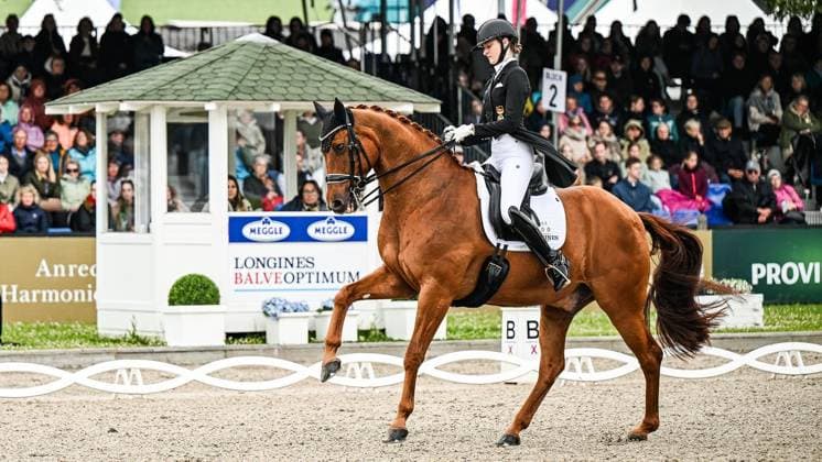 Balve Optimum on Sunday June 7 FOR EDITORIAL PURPOSES ONLY EDITORIAL USE ONLY p Semmieke Rothenberger on Farrington at the German Dressage Grand Prix Freestyle Championships 2026 on Sunday, June 7, 2026 in Balve Optimum in Balve Copyright SvenjaxHanusch Copyright: SvenjaxHanusch doc866p5y4r1jm1mcehodvn ,EDITORIAL USE ONLY