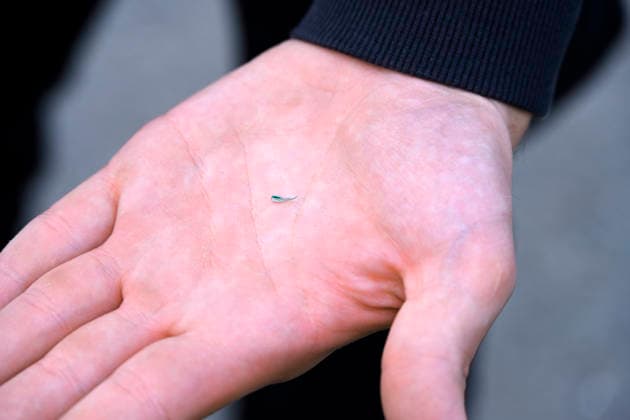 Metal splinters on a hand At the Ironman Hamburg sporting event, there were numerous breakdowns on the bike course because metal splinters were scattered by unknown persons on a road in Kirchwerder, Kirchwerder, Hamburg, Germany Hamburg Kirchwerder Hamburg Germany FOR EDITORIAL PURPOSES ONLY EDITORIAL USE ONLY