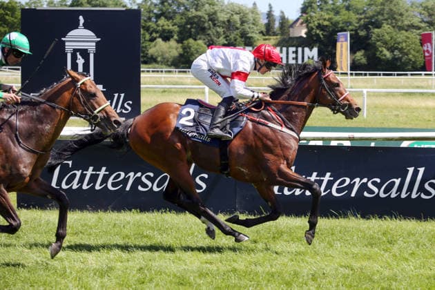 Equestrian sport, gallop, race day at Baden-Baden racecourse, Iffezheim