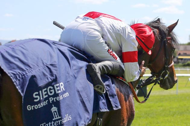 07 06 2026, Iffezheim, Baden Wuerttemberg, GER Alleno with Sibylle Vogt after winning the Grand Prix of Tattersalls racecourse Baden Baden, Iffezheim Horse, Jockey, Alleno, Vogt, Victory 260607B990IFFEZHEIM JPG
