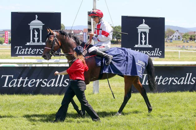 07 06 2026, Iffezheim, Baden Wuerttemberg, GER Alleno with Sibylle Vogt after winning the Grand Prix of Tattersalls racecourse Baden Baden, Iffezheim Horse, Jockey, Alleno, Vogt, Victory 260607B991IFFEZHEIM JPG