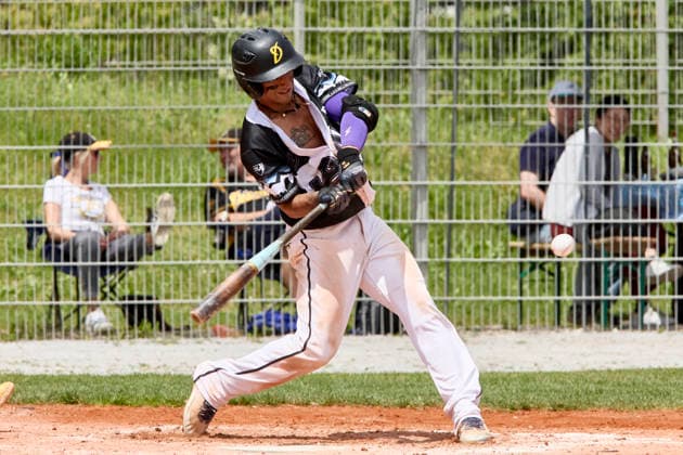 German Baseball League DBL , Munich Haar Disciples vs Stuttgart Reds, Haar Disciples, Stuttgart Reds, 2026 06 07 in Munich Haar Ballpark Eglfing BRICENO Francisco Severo Riestra Munich Haar Disciples Shortstop, Second Baseman Nr44 HAA44 sportworld Munich Haar Ballpark Eglfing Bayern Germany