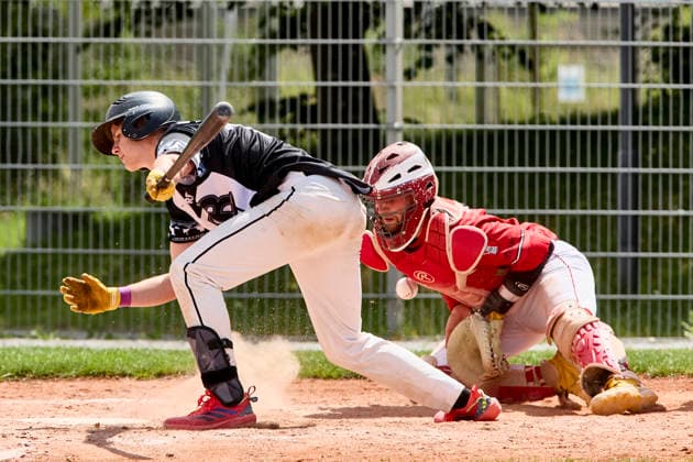 German Baseball League DBL , Munich Haar Disciples vs Stuttgart Reds, Haar Disciples, Stuttgart Reds, 2026 06 07 in Munich Haar Ballpark Eglfing KRAMER Quentin Munich Haar Disciples Second Baseman Nr11 HAA11 , WITT Yannick Stuttgart Reds Catcher, Shortstop Nr6 STG6 sportworld München Haar Ballpark Eglfing Bayern Germany