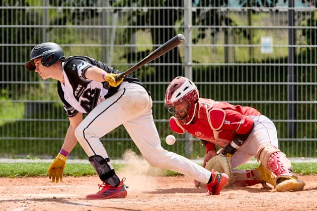 German Baseball League DBL , Munich Haar Disciples vs Stuttgart Reds, Haar Disciples, Stuttgart Reds, 2026 06 07 in Munich Haar Ballpark Eglfing KRAMER Quentin Munich Haar Disciples Second Baseman Nr11 HAA11 , WITT Yannick Stuttgart Reds Catcher, Shortstop Nr6 STG6 sportworld München Haar Ballpark Eglfing Bayern Germany