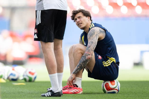 Football, Sweden national team, Training