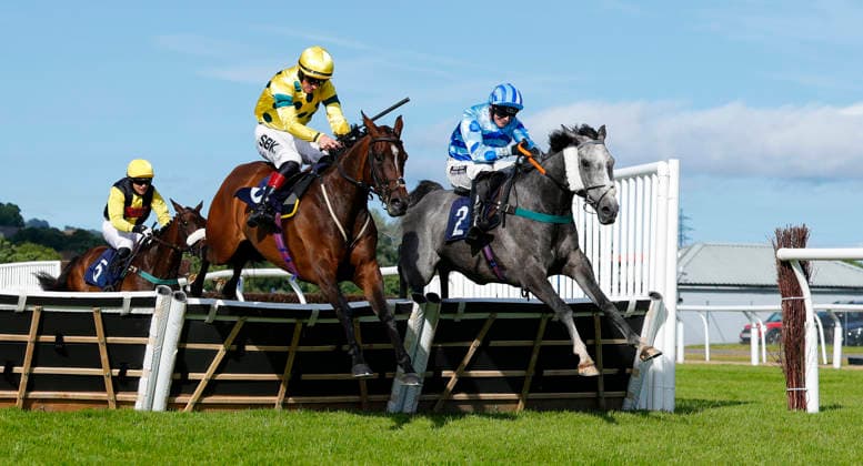 Newton Abbot Races, Newton Abbot, UK - 12 June 2026 Race winner, Jack s Jury ridden by Callum Pritchard (farside) jumps the last with Bits Ballou ridden by Sam Twiston-Davies (nearside). Race 2 - 17:50 Newton Abbot - William Hill Handicap Hurdle (Class 5) at Newton Abbot Racecourse, Newton Abbot, Devon, England - Newton Abbot Newton Abbot Racecourse Devon England Copyright: xPhilxMingo PPAUKx PPA-280688