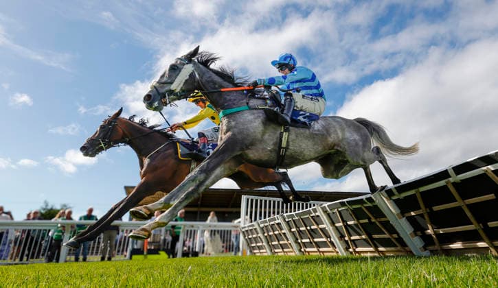 Newton Abbot Races, Newton Abbot, UK - 12 June 2026 Race winner, Jack s Jury ridden by Callum Pritchard (nearside) jumps the last with Bits Ballou ridden by Sam Twiston-Davies (farside). Race 2 - 17:50 Newton Abbot - William Hill Handicap Hurdle (Class 5) at Newton Abbot Racecourse, Newton Abbot, Devon, England - Newton Abbot Newton Abbot Racecourse Devon England Copyright: xPhilxMingo PPAUKx PPA-280689