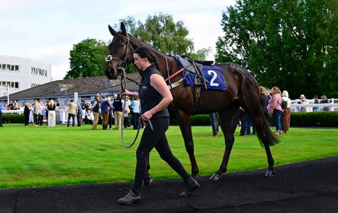 Newton Abbot Races, Newton Abbot, UK - 12 June 2026 Crab Road wins best turned out. Race 3 - 18:25 Newton Abbot - Olympus Plant & Tool Hire Handicap Hurdle (Class 5) at Newton Abbot Racecourse, Newton Abbot, Devon, England - Newton Abbot Newton Abbot Racecourse Devon England Copyright: xPhilxMingo PPAUKx PPA-280716