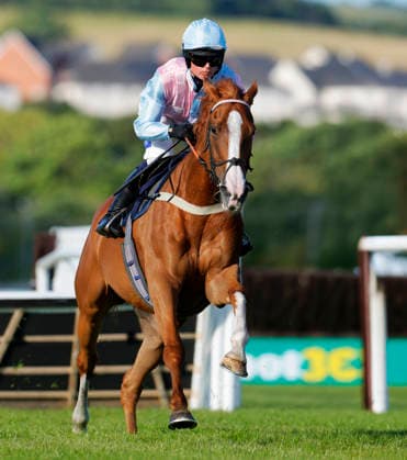 Newton Abbot Races, Newton Abbot, UK - 12 June 2026 Race winner, Donnie Azoff ridden by Isabelle Ryder. Race 4 - 19:00 Newton Abbot - execontainers.com Handicap Hurdle (Class 4) at Newton Abbot Racecourse, Newton Abbot, Devon, England - Newton Abbot Newton Abbot Racecourse Devon England Copyright: xPhilxMingo PPAUKx PPA-280721