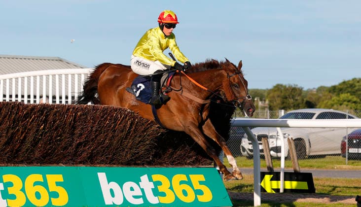 Newton Abbot Races, Newton Abbot, UK - 12 June 2026 Race winner, Rickety Bridge ridden by Freddie Gingell. Race 5 - 19:35 Newton Abbot - St. Austell Brewery Novices Limited Handicap Chase (GBB Race) (Class 3) at Newton Abbot Racecourse, Newton Abbot, Devon, England - Newton Abbot Newton Abbot Racecourse Devon England Copyright: xPhilxMingo PPAUKx PPA-280758