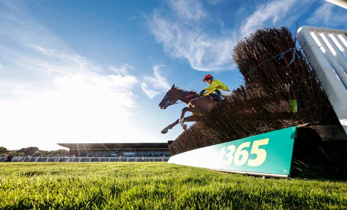 Newton Abbot Races, Newton Abbot, UK - 12 June 2026 Race winner, Rickety Bridge ridden by Freddie Gingell. Race 5 - 19:35 Newton Abbot - St. Austell Brewery Novices Limited Handicap Chase (GBB Race) (Class 3) at Newton Abbot Racecourse, Newton Abbot, Devon, England - Newton Abbot Newton Abbot Racecourse Devon England Copyright: xPhilxMingo PPAUKx PPA-280759