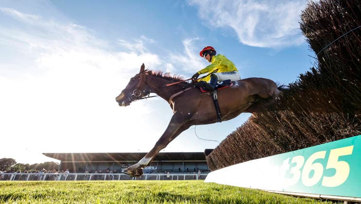Newton Abbot Races, Newton Abbot, UK - 12 June 2026 Race winner, Rickety Bridge ridden by Freddie Gingell. Race 5 - 19:35 Newton Abbot - St. Austell Brewery Novices Limited Handicap Chase (GBB Race) (Class 3) at Newton Abbot Racecourse, Newton Abbot, Devon, England - Newton Abbot Newton Abbot Racecourse Devon England Copyright: xPhilxMingo PPAUKx PPA-280761