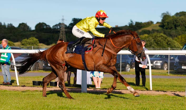 Newton Abbot Races, Newton Abbot, UK - 12 June 2026 Race winner, Rickety Bridge ridden by Freddie Gingell. Race 5 - 19:35 Newton Abbot - St. Austell Brewery Novices Limited Handicap Chase (GBB Race) (Class 3) at Newton Abbot Racecourse, Newton Abbot, Devon, England - Newton Abbot Newton Abbot Racecourse Devon England Copyright: xPhilxMingo PPAUKx PPA-280765
