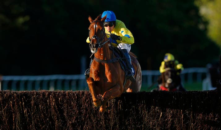 Newton Abbot Races, Newton Abbot, UK - 12 June 2026 Race winner, Beorma ridden by Harry Skelton. Race 6 - 20:10 Newton Abbot - Sun Racing The Favourite Pullout Every Day Handicap Chase (GBB Race) (Class 4) at Newton Abbot Racecourse, Newton Abbot, Devon, England - Newton Abbot Newton Abbot Racecourse Devon England Copyright: xPhilxMingo PPAUKx PPA-280801