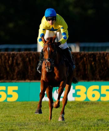 Newton Abbot Races, Newton Abbot, UK - 12 June 2026 Race winner, Beorma ridden by Harry Skelton. Race 6 - 20:10 Newton Abbot - Sun Racing The Favourite Pullout Every Day Handicap Chase (GBB Race) (Class 4) at Newton Abbot Racecourse, Newton Abbot, Devon, England - Newton Abbot Newton Abbot Racecourse Devon England Copyright: xPhilxMingo PPAUKx PPA-280802