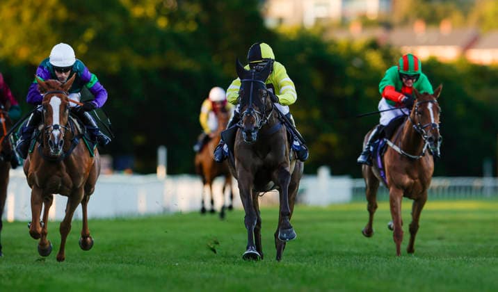 Newton Abbot Races, Newton Abbot, UK - 12 June 2026 Race winner, Park Hall ridden by Harry Skelton. Race 7 - 20:45 Newton Abbot - Racing To School Reaches 25 Years Open National Hunt Flat Race (Category 1 Elimination) (GBB Race) (Class 4) at Newton Abbot Racecourse, Newton Abbot, Devon, England - Newton Abbot Newton Abbot Racecourse Devon England Copyright: xPhilxMingo PPAUKx PPA-280821