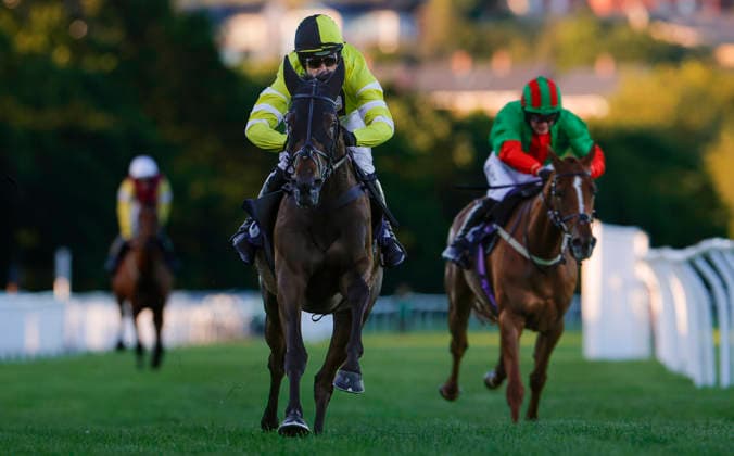 Newton Abbot Races, Newton Abbot, UK - 12 June 2026 Race winner, Park Hall ridden by Harry Skelton. Race 7 - 20:45 Newton Abbot - Racing To School Reaches 25 Years Open National Hunt Flat Race (Category 1 Elimination) (GBB Race) (Class 4) at Newton Abbot Racecourse, Newton Abbot, Devon, England - Newton Abbot Newton Abbot Racecourse Devon England Copyright: xPhilxMingo PPAUKx PPA-280822