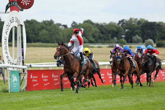 14 06 2026, Koeln, Nordrhein Westfalen, GER Englishman with Enzo Crublet wins the 191 Union race Galopprennbahn Koeln Weidenpesch horse, jockey, Englishman, Crublet, victory, finish, finish 260614SG793KOELN JPG