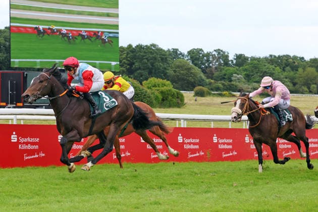 14 06 2026, Koeln, Nordrhein Westfalen, GER Bapp with Rene Piechulek wins racecourse Koeln Weidenpesch horse, jockey, Bapp, Piechulek, victory, finish, finish 260614S981KOELN JPG