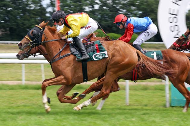 14 06 2026, Koeln, Nordrhein Westfalen, GER Aomanda with Sibylle Vogt wins racecourse Koeln Weidenpesch horse, jockey, Aomanda, Vogt, victory, finish, finish 260614S976KOELN JPG