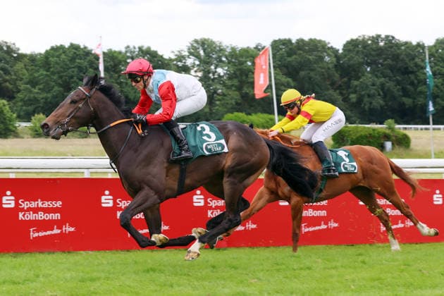 14 06 2026, Koeln, Nordrhein Westfalen, GER Bapp with Rene Piechulek wins racecourse Koeln Weidenpesch horse, jockey, Bapp, Piechulek, victory, finish, finish 260614S982KOELN JPG