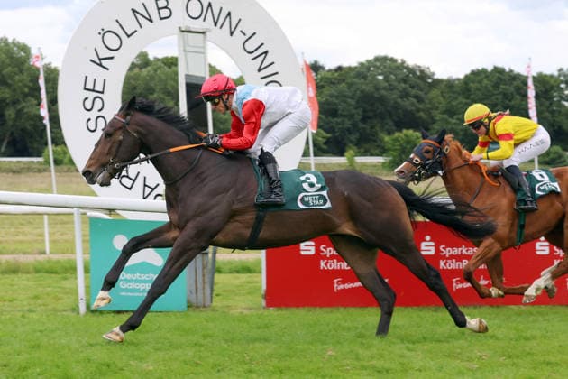14 06 2026, Koeln, Nordrhein Westfalen, GER Bapp with Rene Piechulek wins racecourse Koeln Weidenpesch horse, jockey, Bapp, Piechulek, victory, finish, finish 260614S983KOELN JPG