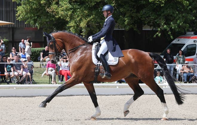Ludwigsburg , 29. Ludwigsburger Dressurturnier , Dressurprüfung Kl.S*** , Sieger Thomas Wagner ( GER ) auf Escolux *** Ludwigsburg , 29 Ludwigsburger Dressurturnier , dressage test class S , winner Thomas Wagner GER on Escolux