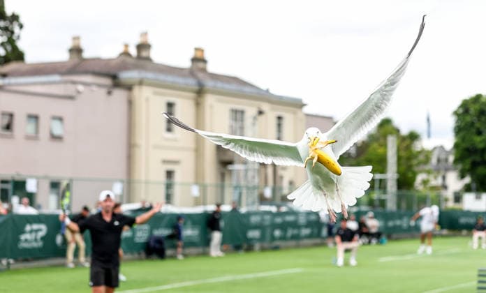 Sports Pictures of the Day