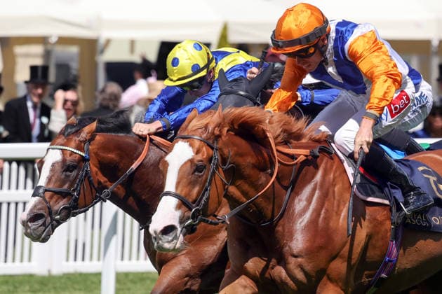 Equestrian sports, horse racing, Royal Ascot