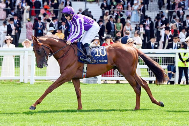 June 16, 2026, Ascot, Windsor, GBR Great Barrier Reef with Wayne Lordan at Ascot Racecourse