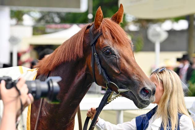 June 16, 2026, Ascot, Windsor, GBR Portrait of Great Barrier Reef at Ascot Racecourse, Great Barrier Reef, Portrait, Portraet 260616C910ROYAL ASCOT JPG,detected_source_language
