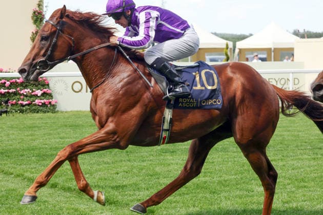 June 16, 2026, Ascot, Windsor, GBR