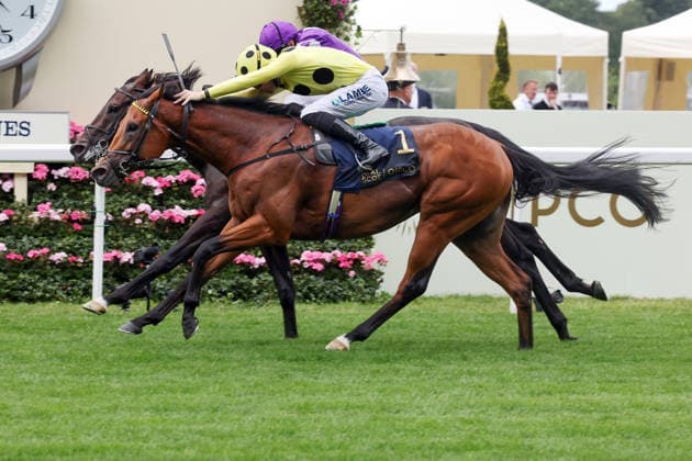 June 16, 2026, Ascot, Windsor, GBR
