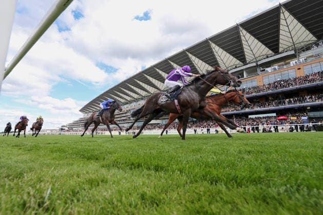 June 16, 2026, Ascot, Windsor, UK