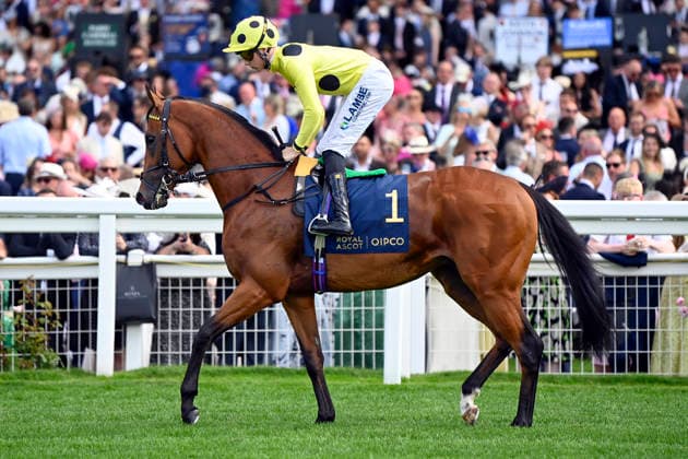 June 16, 2026, Ascot, Windsor, GBR Bow Echo with Billy Loughnane Ascot Racecourse Horse, Jockey, Bow Echo, Loughnane 260616C913ROYAL ASCOT JPG,detected_source_language
