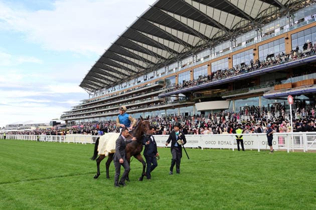 June 16, 2026, Ascot, Windsor, GBR Map of Stars with James McDonald in the saddle after winning the Wolferton Stakes at Ascot Racecourse Horse, Jockey, Map of Stars, McDonald, Victory 260616D573ROYAL ASCOT JPG,detected_source_language