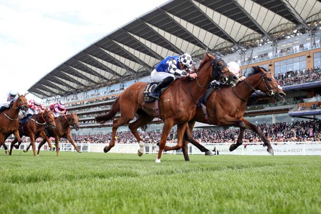 June 16, 2026, Ascot, Windsor, GBR Kizlyar, ridden by Joey Sheridan, wins the Ascot Stakes at Ascot Racecourse Horse, Jockey, Kizlyar, Sheridan, Victory, Finish, Finish Line 260616D581ROYAL ASCOT JPG,detected_source_language