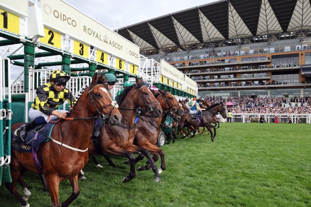June 16, 2026, Ascot, Windsor, GBR Stalls are open for a race in front of the grandstand at Ascot Racecourse