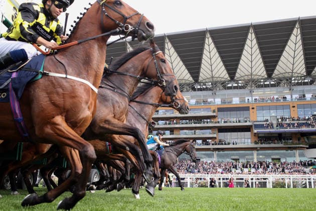 June 16, 2026, Ascot, Windsor, GBR Stalls are open for a race in front of the grandstand at Ascot Racecourse