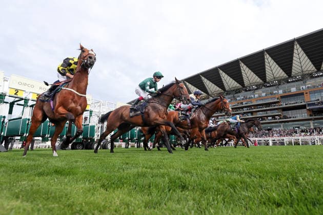 June 16, 2026, Ascot, Windsor, GBR Stalls are open for a race in front of the grandstand at Ascot Racecourse