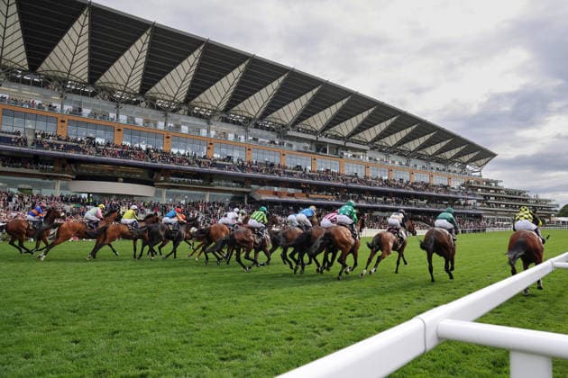 June 16, 2026, Ascot, Windsor, GBR Horses and jockeys during a race in front of the grandstand at Ascot Racecourse Horses, Jockeys, Grandstand, Horse Racing, Horse racing, horse races, rear view, rcotw 260616D586ROYAL ASCOT JPG,detected_source_language