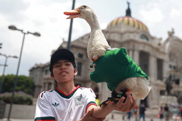 Football, 2026 FIFA World Cup, Mexico national team, Merlin the duck, the mascot