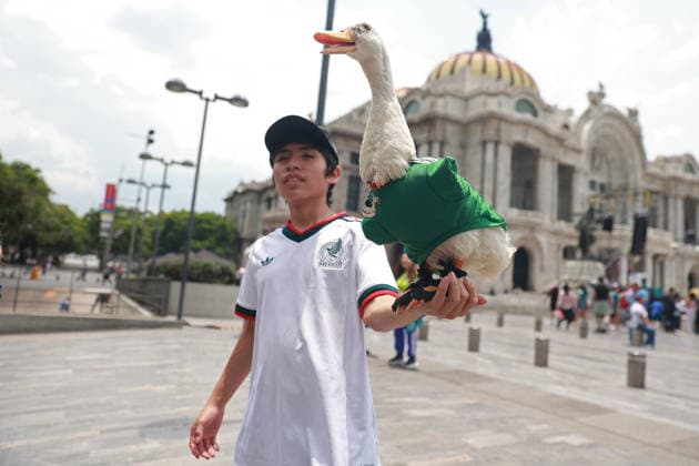 Merlin the duck, the unofficial mascot of the Mexican national team, Nationalteam MEXICO CITY, MEXICO - JUNE 16: Merlin the duck, wearing a Mexico national team jersey, is held by his owner Christian Gomez, outside the Palacio de Bellas Artes, in Mexico City, Mexico on June 16, 2026. Karla Gomez and her son Christian own Merlin, a duck that has gone viral on social media after appearing during celebrations by Mexican fans. The duck is often seen wearing a Mexico national team jersey and has been adopted by the public as an unofficial mascot of the Mexican team. Daniel Cardenas Anadolu Mexico City Mexico. Editorial use only. Please get in touch for any other usage.  Copyright: x2026xAnadoluxDanielxCardenasx