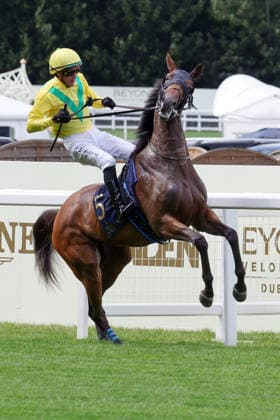 June 17, 2026, Ascot, Windsor, GBR Celtic Dispute bucks with Christophe Soumillon on the way to the start at Ascot Racecourse Horse, Jockey, Celtic Dispute, Soumillon, bucking, rearing, gallop 260617D530ROYAL ASCOT JPG,detected_source_language